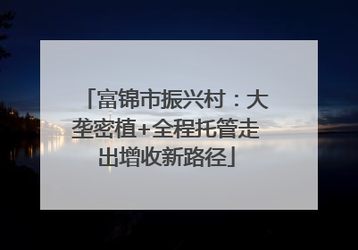 富锦市振兴村：大垄密植+全程托管走出增收新路径