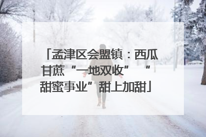 孟津区会盟镇：西瓜甘蔗“一地双收” “甜蜜事业”甜上加甜