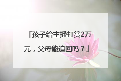 孩子给主播打赏2万元，父母能追回吗？