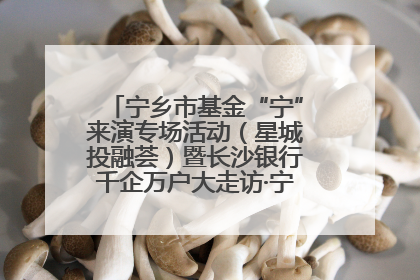 宁乡市基金“宁”来演专场活动（星城投融荟）暨长沙银行千企万户大走访·宁乡专场活动举行