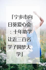 宁乡市向日葵爱心会：十年助学让近三百名学子圆梦大学