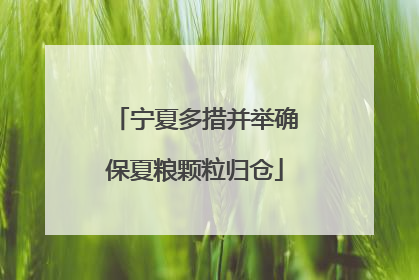 宁夏多措并举确保夏粮颗粒归仓