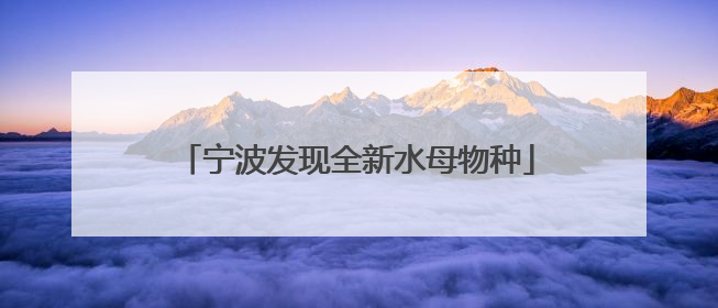 宁波发现全新水母物种