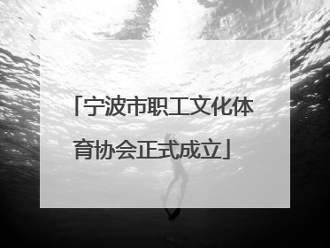 宁波市职工文化体育协会正式成立