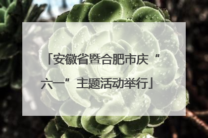 安徽省暨合肥市庆“六一”主题活动举行