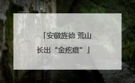 安徽旌德 荒山长出“金疙瘩”