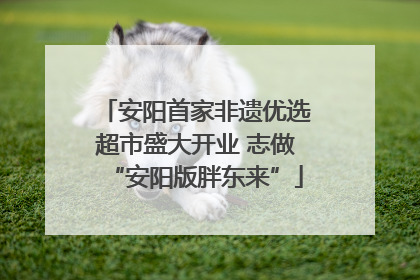 安阳首家非遗优选超市盛大开业 志做“安阳版胖东来”