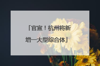 官宣！杭州将新增一大型综合体