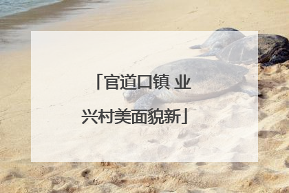 官道口镇 业兴村美面貌新