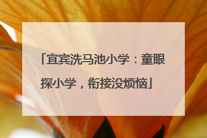 宜宾洗马池小学：童眼探小学，衔接没烦恼