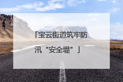 宝云街道筑牢防汛“安全堤”