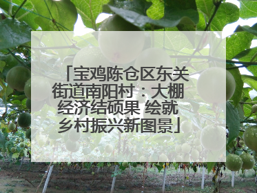 宝鸡陈仓区东关街道南阳村：大棚经济结硕果 绘就乡村振兴新图景