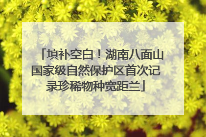 填补空白！湖南八面山国家级自然保护区首次记录珍稀物种宽距兰