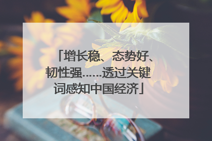 增长稳、态势好、韧性强……透过关键词感知中国经济