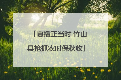 夏播正当时 竹山县抢抓农时保秋收