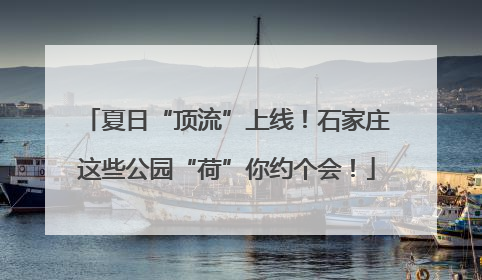 夏日“顶流”上线！石家庄这些公园“荷”你约个会！