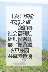 夏日缤纷·花漾之旅——溆浦县社会福利院组织长者开展“畅游薰衣草庄园 共享紫色浪漫”户外活动