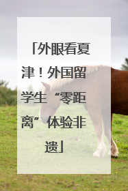 外眼看夏津！外国留学生“零距离”体验非遗
