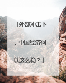 外部冲击下，中国经济何以这么稳？