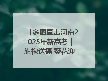 多图直击河南2025年新高考｜旗袍送福 葵花迎胜——许昌高考首日拉开帷幕