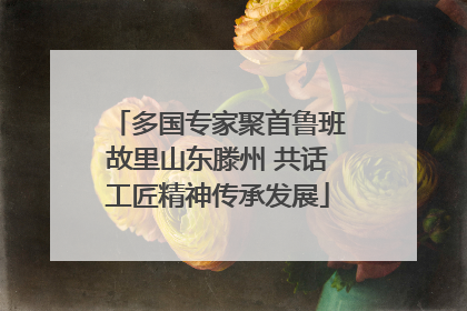 多国专家聚首鲁班故里山东滕州 共话工匠精神传承发展