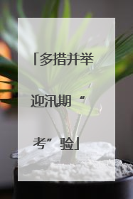 多措并举 迎汛期“考”验