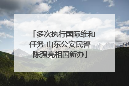 多次执行国际维和任务 山东公安民警陈强亮相国新办