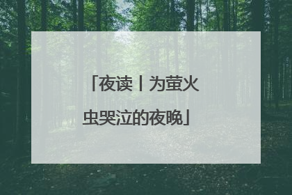 夜读丨为萤火虫哭泣的夜晚