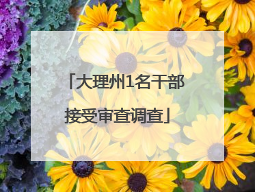 大理州1名干部接受审查调查