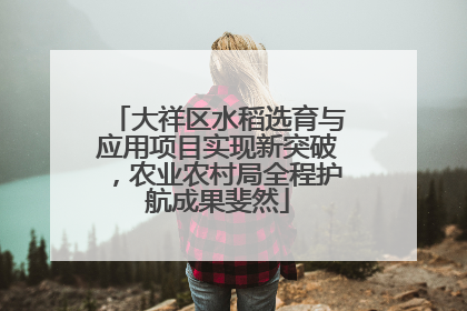 大祥区水稻选育与应用项目实现新突破，农业农村局全程护航成果斐然
