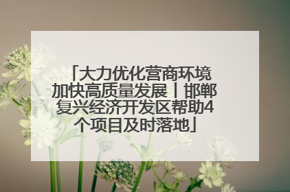 大力优化营商环境 加快高质量发展丨邯郸复兴经济开发区帮助4个项目及时落地