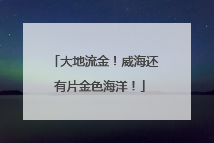 大地流金！威海还有片金色海洋！
