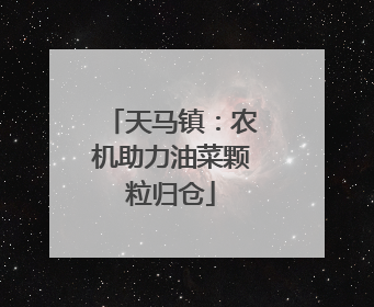 天马镇：农机助力油菜颗粒归仓