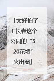 太好拍了！长春这个公园的“520花墙”火出圈