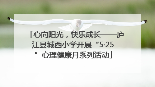心向阳光，快乐成长——庐江县城西小学开展“5·25”心理健康月系列活动