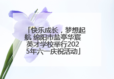 快乐成长，梦想起航 绵阳市盐亭华宸英才学校举行2025年六一庆祝活动