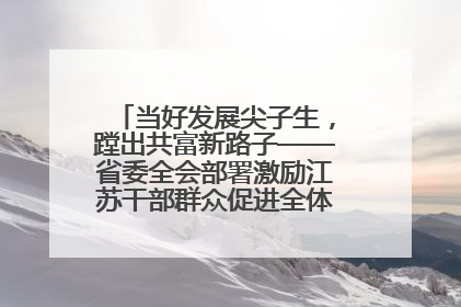 当好发展尖子生，蹚出共富新路子——省委全会部署激励江苏干部群众促进全体人民共同富裕
