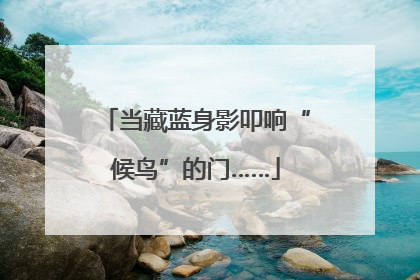 当藏蓝身影叩响“候鸟”的门……