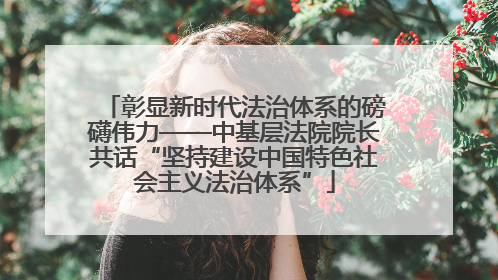 彰显新时代法治体系的磅礴伟力——中基层法院院长共话“坚持建设中国特色社会主义法治体系”
