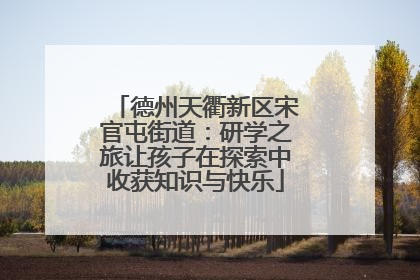 德州天衢新区宋官屯街道：研学之旅让孩子在探索中收获知识与快乐