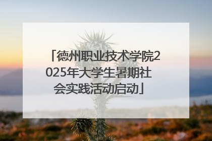 德州职业技术学院2025年大学生暑期社会实践活动启动