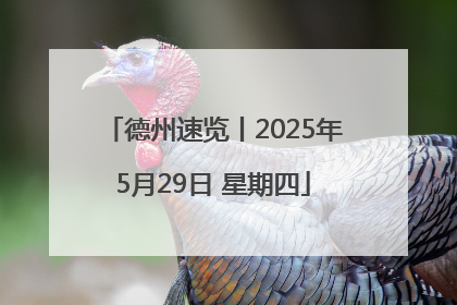 德州速览丨2025年5月29日 星期四
