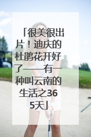 很美很出片！迪庆的杜鹃花开好了——有一种叫云南的生活之365天