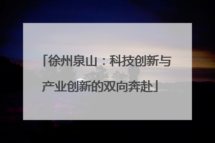 徐州泉山：科技创新与产业创新的双向奔赴
