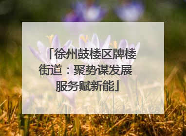 徐州鼓楼区牌楼街道：聚势谋发展 服务赋新能