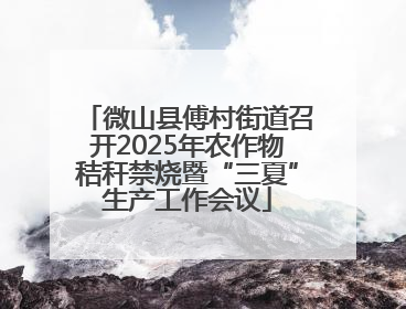 微山县傅村街道召开2025年农作物秸秆禁烧暨“三夏”生产工作会议