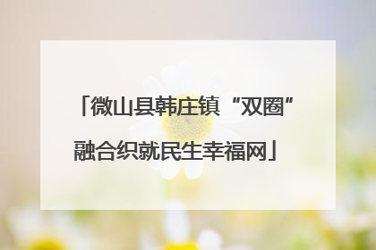 微山县韩庄镇“双圈”融合织就民生幸福网