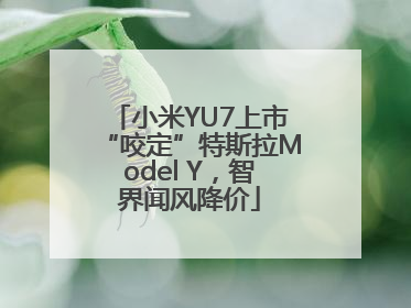 小米YU7上市“咬定”特斯拉Model Y，智界闻风降价