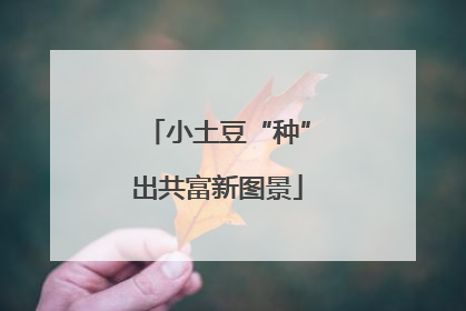 小土豆“种”出共富新图景