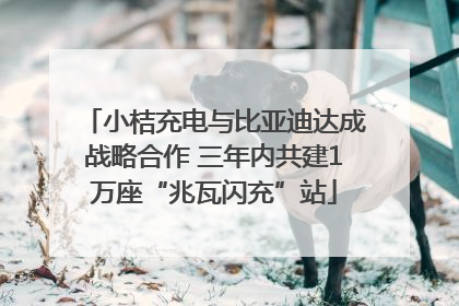 小桔充电与比亚迪达成战略合作 三年内共建1万座“兆瓦闪充”站